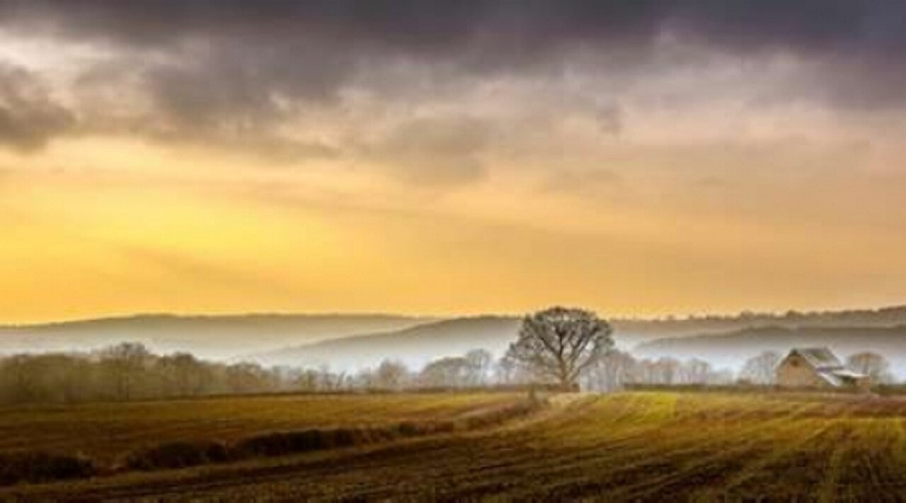 The Farm Poster Print by Adelino Goncalves - Item # VARPDXG773D